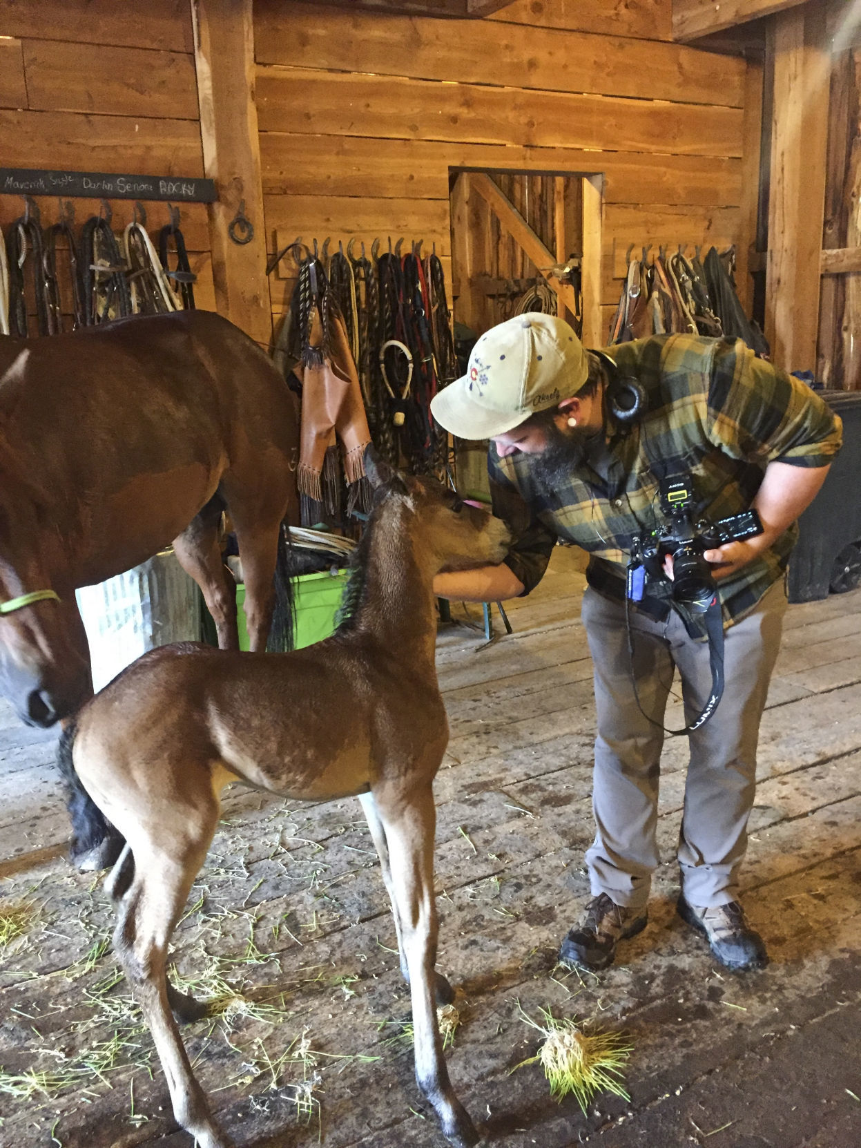 Debbe Dunning's Dude Ranch Round-up